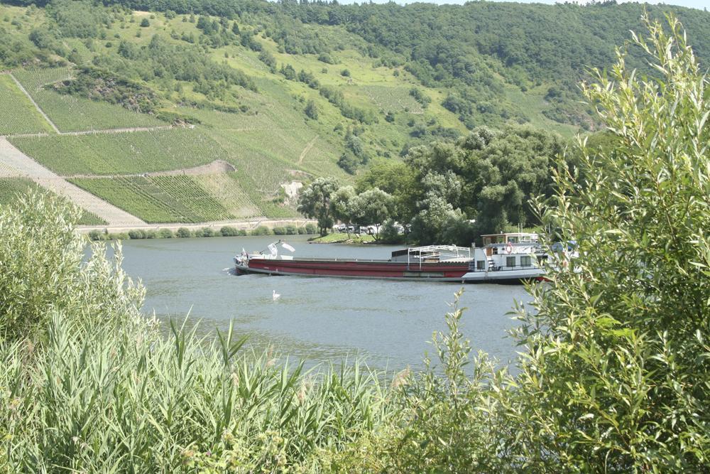 Hotel Vier Loewen Traben-Trarbach Eksteriør billede